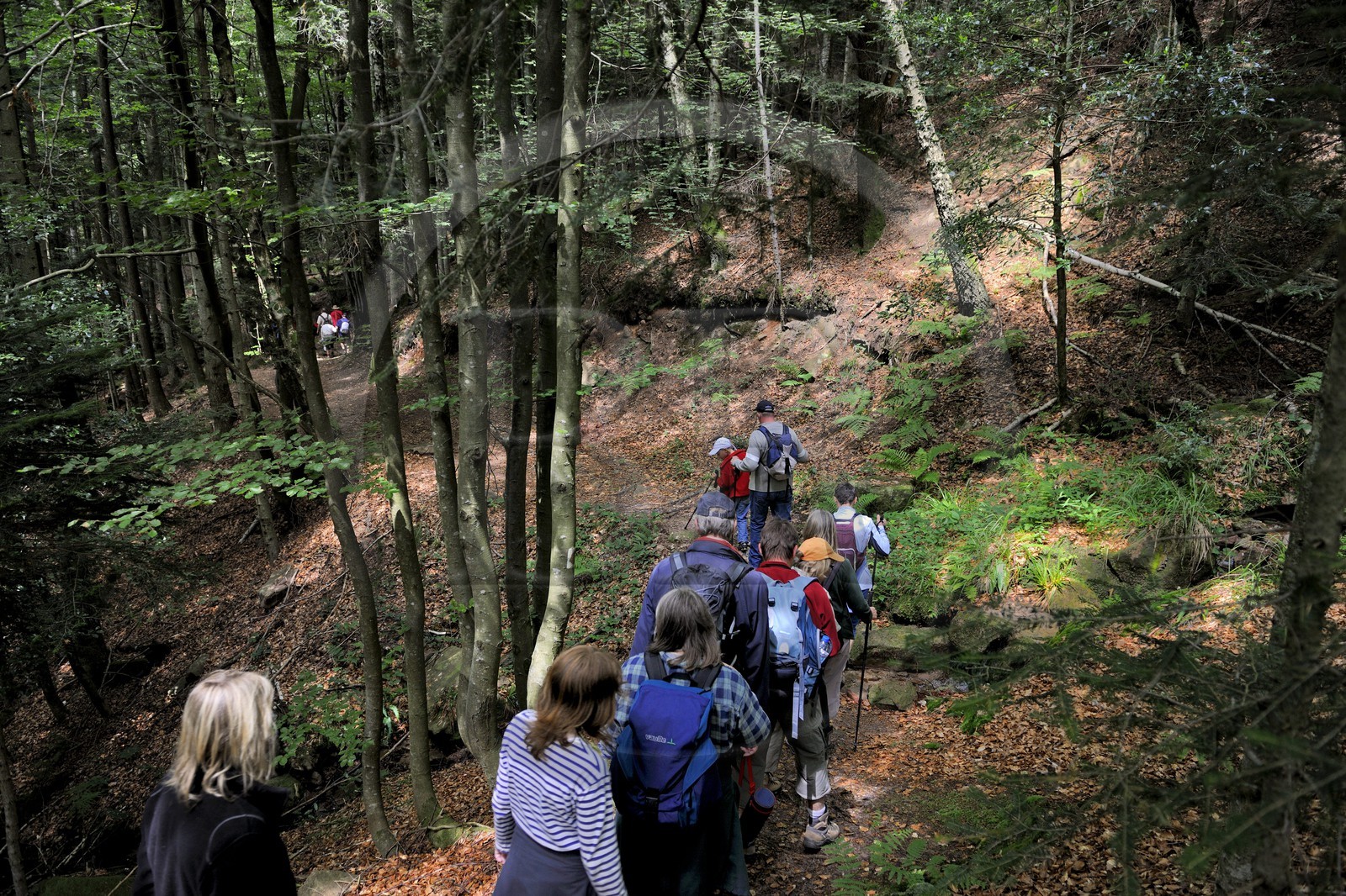 France, Vosges (88), chemin des passeurs au Donon sur la trace de la filière d'évasion du Rehtal