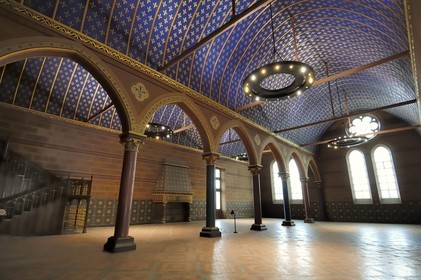 France, Loir-et-Cher (41), vallée de la Loire classée au Patrimoine Mondial de l'UNESCO, château de Blois, la salle des Etats