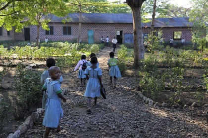Tanzanie, région de Morogoro, les Monts Uluguru, école primaire du village de Kiroka