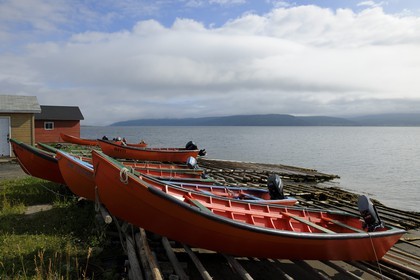 Canada, province de Terre-Neuve et Labrador, Ile de Terre-Neuve, fjord de Corner Brook, sur les traces du capitaine Cook, village de pêcheurs Frenchman's Cove