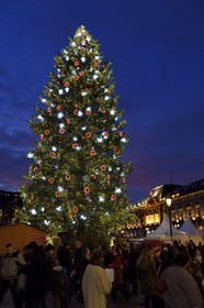 France, Bas-Rhin (67), Strasbourg, vieille ville classée Patrimoine Mondial de l'UNESCO, le Grand Sapin de Noël de la place Kléber