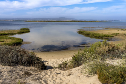 Portugal, Algarve, Parc naturel de la Ria Formosa, Faro, Ile de Barreta ou Deserta (Ilha da Barretta ou Deserta)