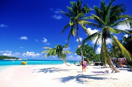 Caraïbes, Saint-Vincent et les Grenadines, archipel des Tobago Cays, plage d'une petite île inhabitée
