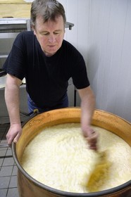 France, Haut-Rhin (68), Wasserbourg, Ferme-auberge Buchwald, le marcaire Michel Wehrey à la fabrication du fromage de munster AOP (lait de vache), découpe à l'écumoire du caillé pour faire monter le petit lait et descendre le fromage dans le chaudron en cuivre