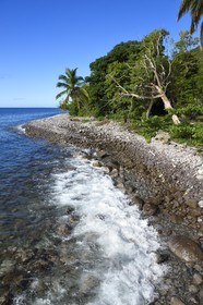 Caraïbes, Ile de la Dominique, Portsmouth, plage de galets dans la baie de Prince Rupert