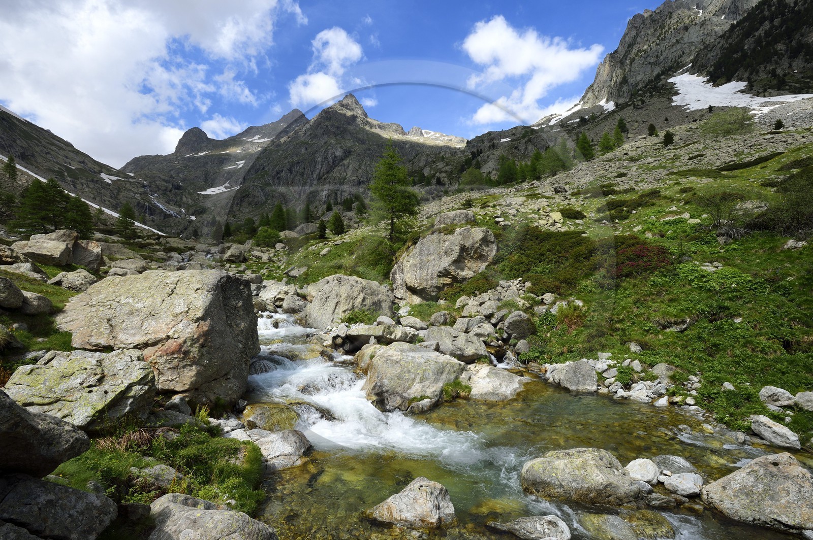 France, Alpes-Maritimes (06), parc national du Mercantour, Haute-Vésubie, vallon de la Gordolasque