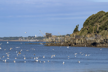 France, Loire-Atlantique (44), Baie de Bourgneuf, Pornic, cabanes de pêche traditionnelle au carrelet en bordure de la plage de Crêve-coeur à La Bernerie-en-Retz