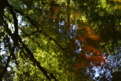 France, Finistère (29), parc naturel régional d'Armorique, Huelgoat, chaos granitique de la forêt du Huelgoat, la forêt se reflète dans l'eau de la rivière d'Argent qui prend parfois une couleur rouge sang