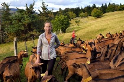 France, Ardèche (07), parc naturel régional des Monts d'Ardèche, massif du Mézenc, Lac-d'Issarlès, Ferme de La Louvèche, l'agricultrice Stéphanie Coquart et son fils rentrent les chèvres pour la traite du soir