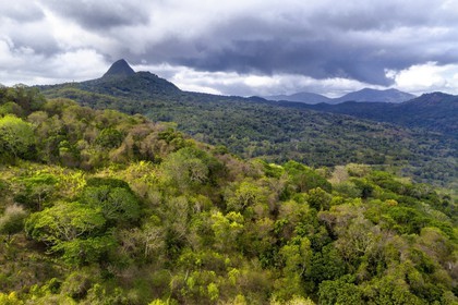 France, Ile de Mayotte, Grande-Terre, Réserve Forestière des Cretes du Sud, le le Mont Choungui (594 mètres) en arrière plan (vue aérienne)