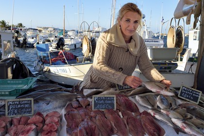 France, Var (83), Sanary-sur-Mer, vente de la pêche du matin sur les quais