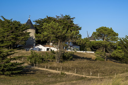 France, Vendée (85), Ile de Noirmoutier, La Guérinière, un des 4 moulins de la Court