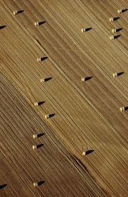 France, Aude (11), champs moissonn