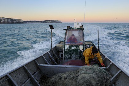 France, Seine-Maritime (76), au large de Veules-les-Roses à l'aube, pêche au filet à bord du bateau La Pomme appartenant à Anthony Paumier le plus jeune patron de pêche de France
