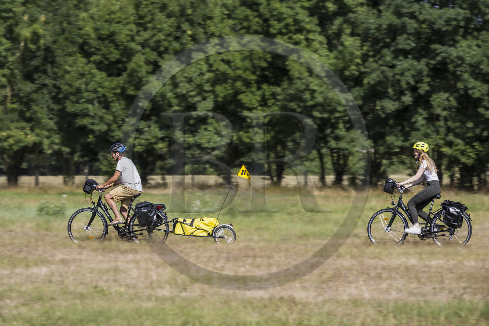 France, Maine-et-Loire (49), vallée de la Loire classée au Patrimoine Mondial par l'UNESCO, Saumur vers Saint-Hilaire, randonnée à bicyclette sur les berges de la Loire, vélo avec une remorque transportant le matériel de camping