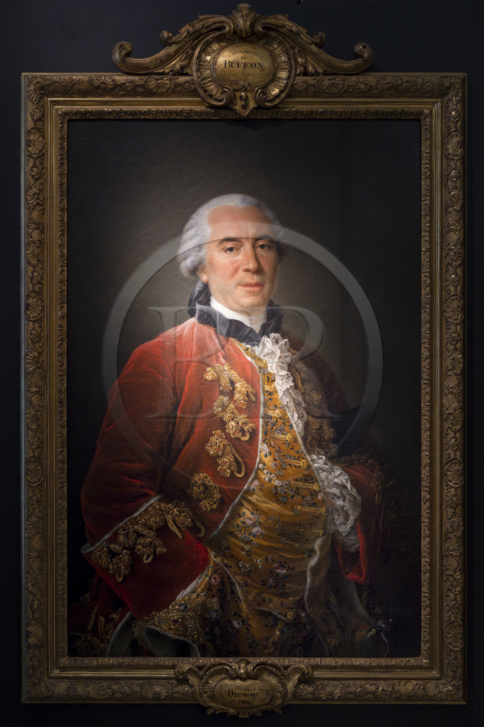 France, Côte-d'Or (21), Montbard, Musée Parc Buffon, le naturaliste Georges-Louis Leclerc de Buffon, portrait par Drouais, huile sur toile, 1761
