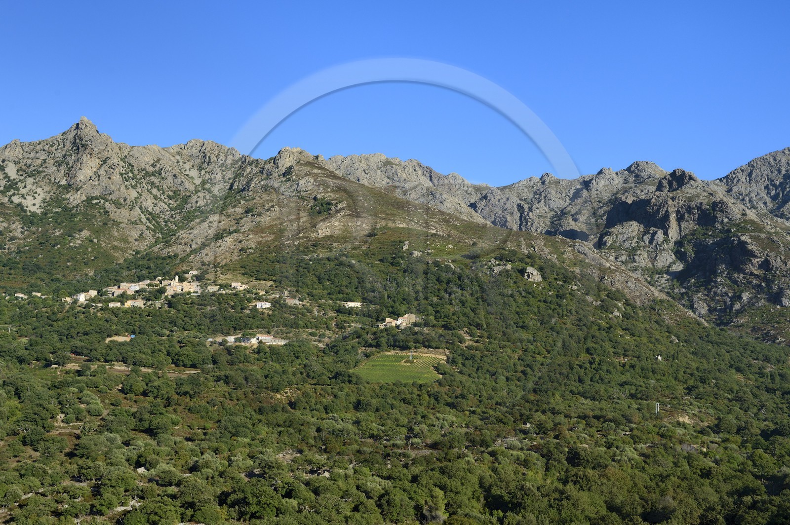 France, Haute-Corse (2B), Balagne, village perché de Nessa