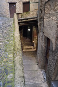 France, Alpes-Maritimes (06), vallée de la Roya (arrière-pays niçois), au pied du parc national du Mercantour, Saorge, ruelle et la traverse couverte cournioun di Garbi