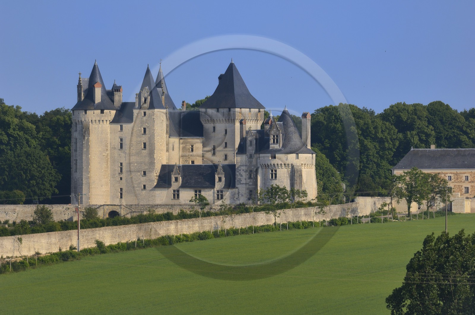 France, Indre-et-Loire (37), Vallée de la Loire classée Patrimoine Mondial de l' UNESCO, Seuilly, château de Coudray-Montpensier