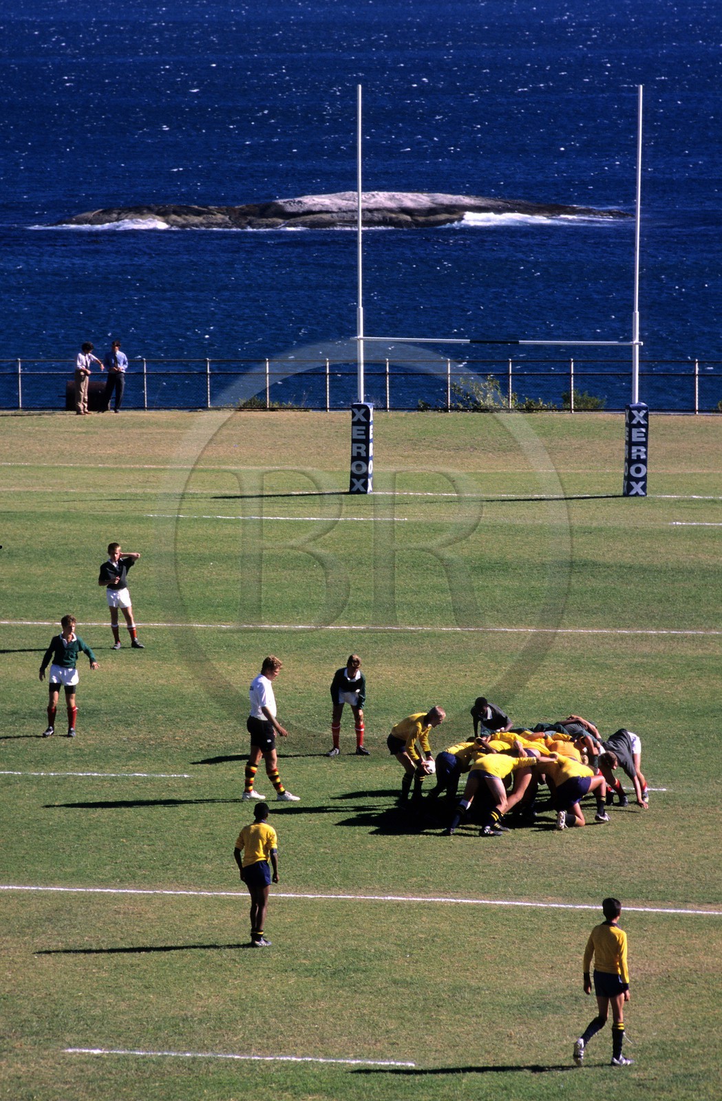 Afrique du Sud, péninsule de Cap, Le Cap, match de rugby au lycée de Camps Bay