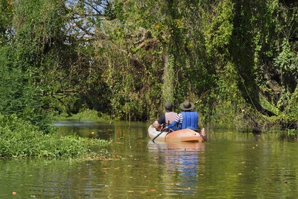 Nicaragua, Ile d'Ometepe réserve mondiale de Biosphère sur le lac Nicaragua, exploration en kayak du marais le long du Rio Istian
