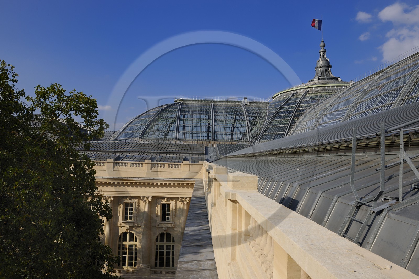 France, Paris (75), le Grand Palais, la coupole vitrée