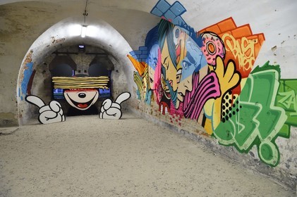 France, Haut-Rhin (68), Neuf-Brisach, Musée d'Art Urbain et de Street Art (MAUSA) hébergé dans une ancienne casemate de la citadelle de Vauban classée Patrimoine Mondial de l'UNESCO, peinture murale de Bustart