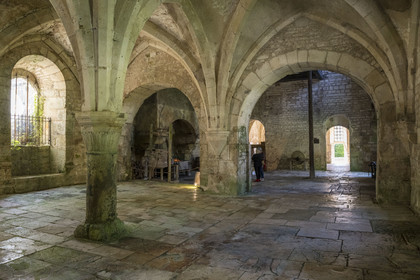 France, Côte-d'Or (21), Marmagne, l'abbaye cistercienne de Fontenay classée au Patrimoine Mondial de l'UNESCO, batiment de la forge