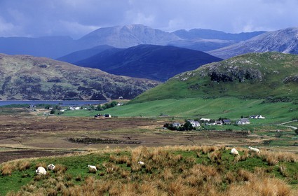 Royaume-Uni, Ecosse, région des Highlands, Sutherland, région du Ben More Assynt
