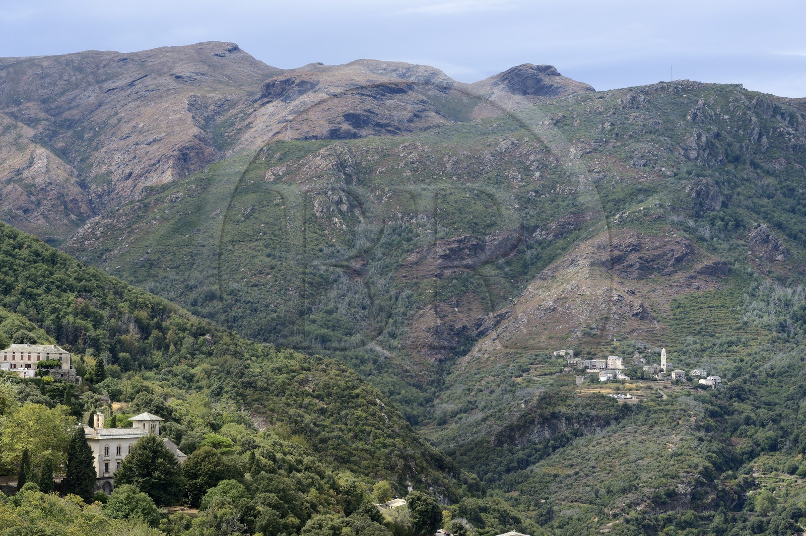 France, Haute-Corse (2B), Cap Corse, San Martino di Lota, Chateau Cagninacci (Palazzi ou Maison d'Americain) au premier plan