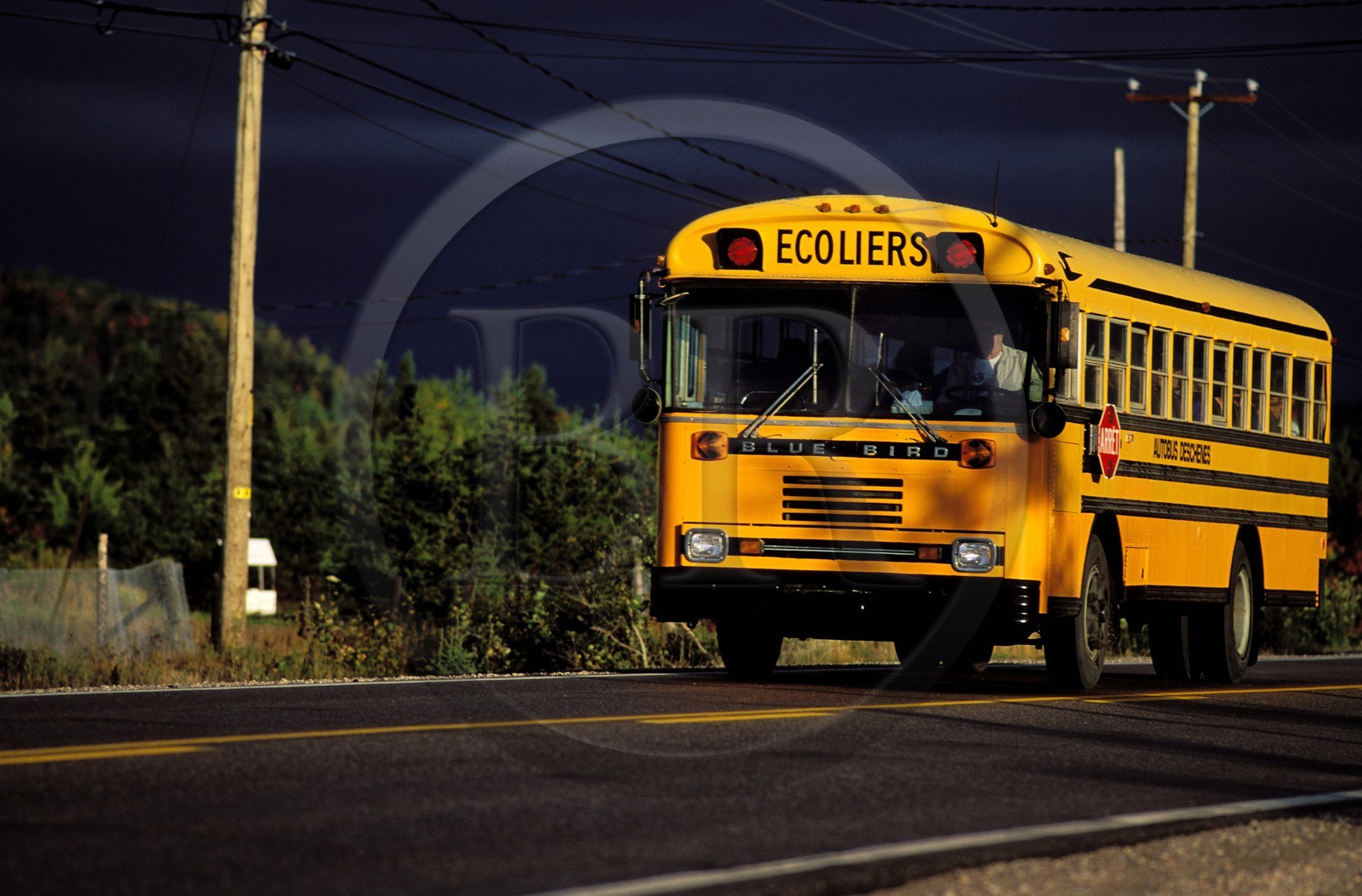 Canada, province de Québec, région du Manicouagan, Tadoussac, bus de ramassage scolaire