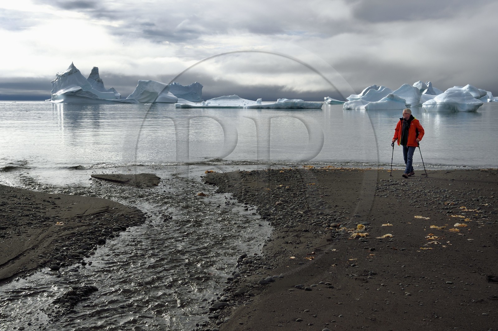 Groenland, cote ouest, Ile de Disko, baie du village de Qeqertarsuaq, randonneur sur la plage et icebergs en arrière plan