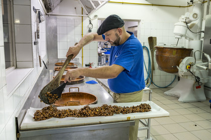 France, Vaucluse (84), Saint Didier, dans l'atelier de fabrication des Nougats Silvain, paysans nougatiers, Charles-Henri Bagnol confectionne une plaque de nougat noir avec les amandons grillés et le miel