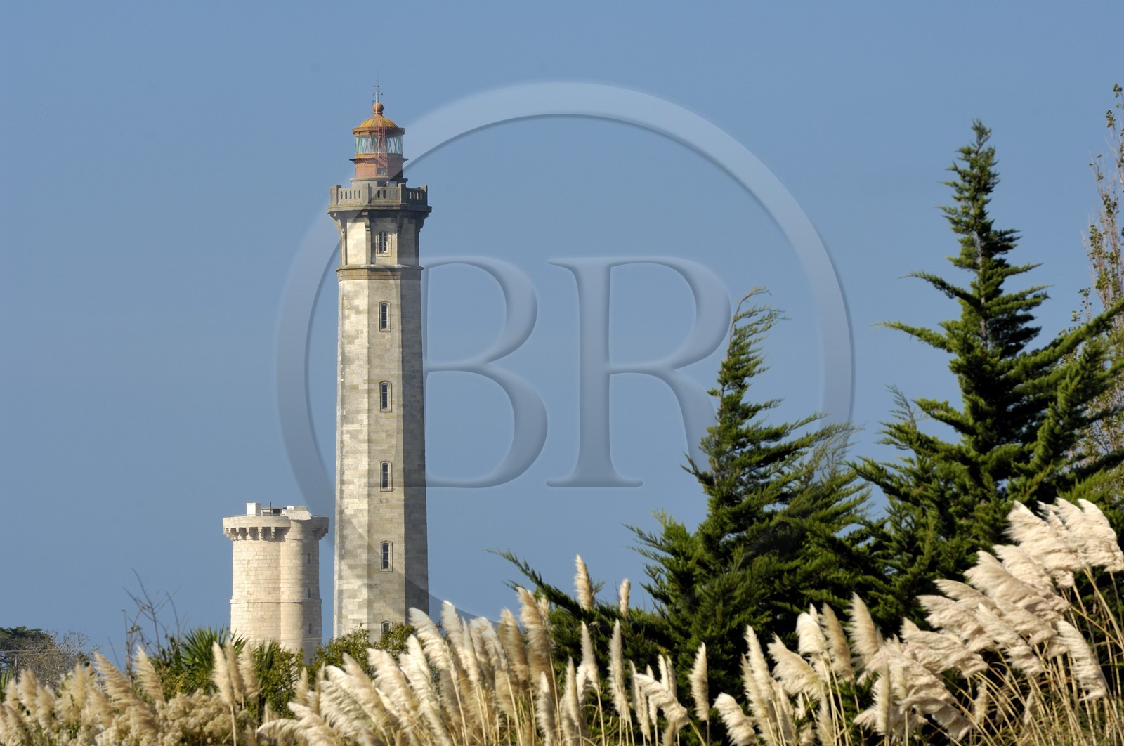 France, Charente-Maritime (17), ile de Ré, phare des Baleines