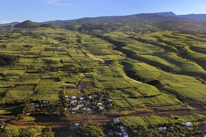France, île de la Réunion, côte sud vers Petite Ile, champs de cannes à sucre (vue aérienne)
