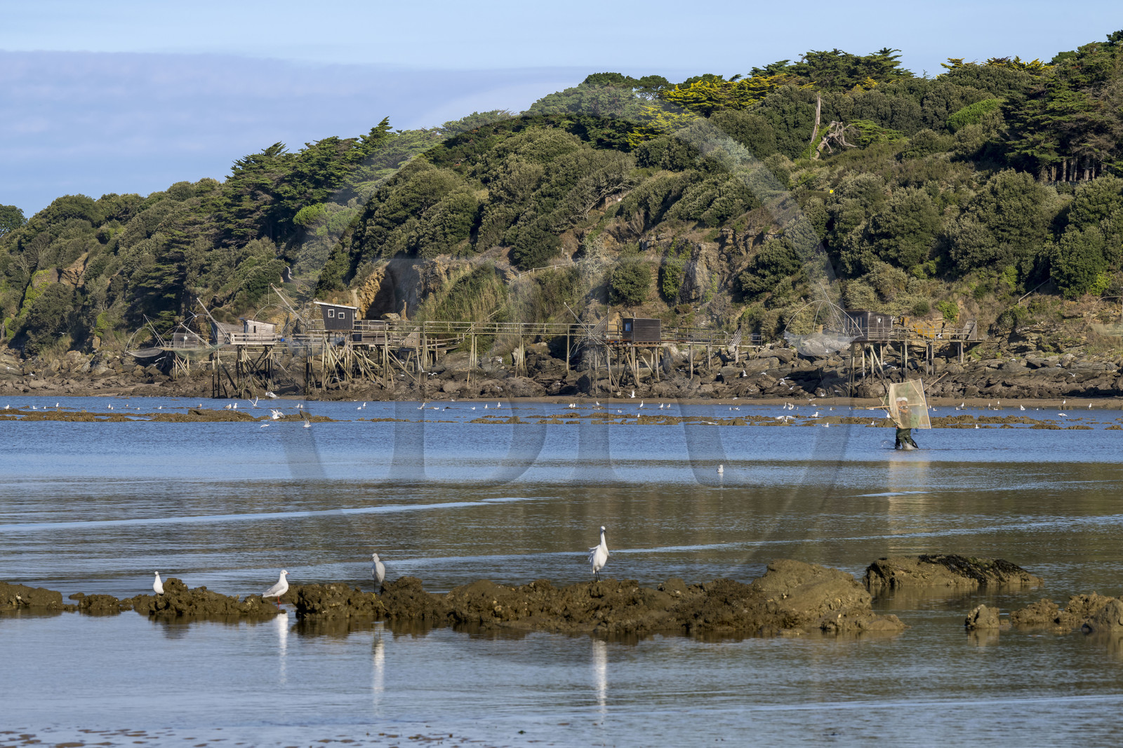 France, Loire-Atlantique (44), Baie de Bourgneuf, Pornic, cabanes de pêche traditionnelle au carrelet en bordure de la plage de Crêve-coeur à La Bernerie-en-Retz, pecheurs à pied de crevettes à l'épuisette