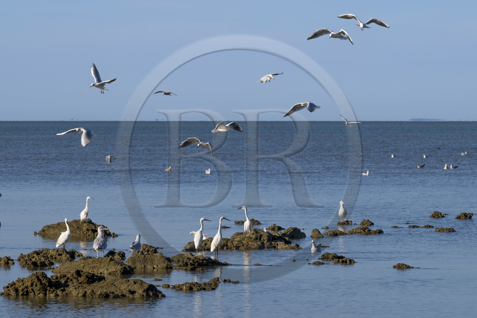 France, Loire-Atlantique (44),