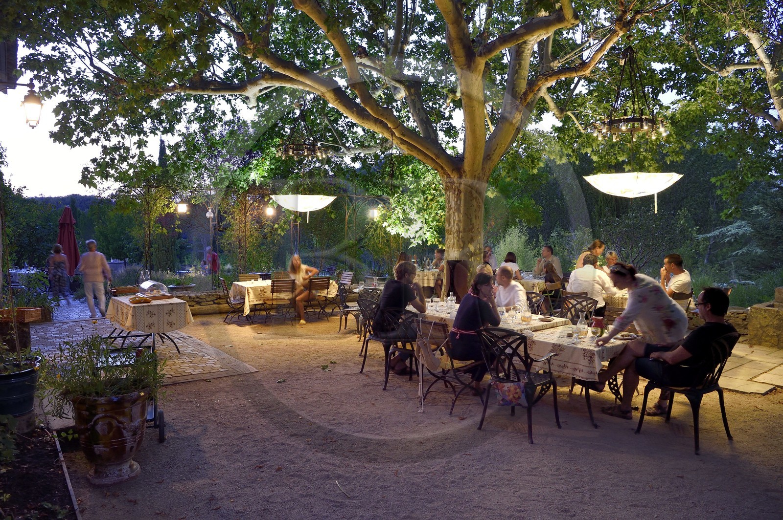 France, Var (83), Provence Verte, Bras, vers Saint-Maximin-la-Sainte-Baume, la maison d'hotes Le Peyrourier - une campagne en Provence