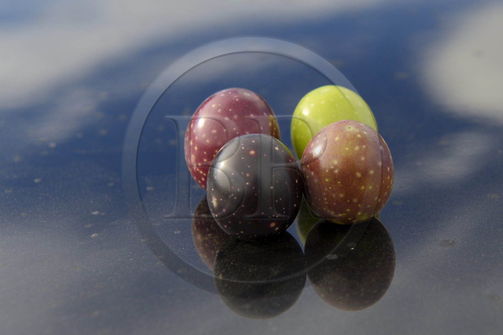 Espagne, Andalousie, province de Jaén, olives