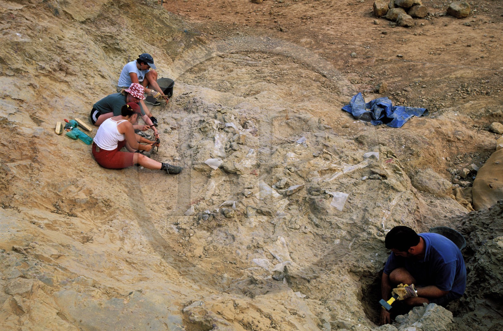 France, Aude (11), Esperaza, des fouilles sur un fossile de dinosaure