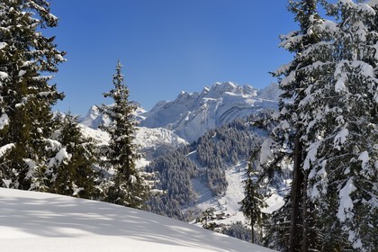 France, Haute-Savoie (74), Morzine, la vallée d'Aulps, massif du Chablais, domaine skiable des Portes du Soleil,