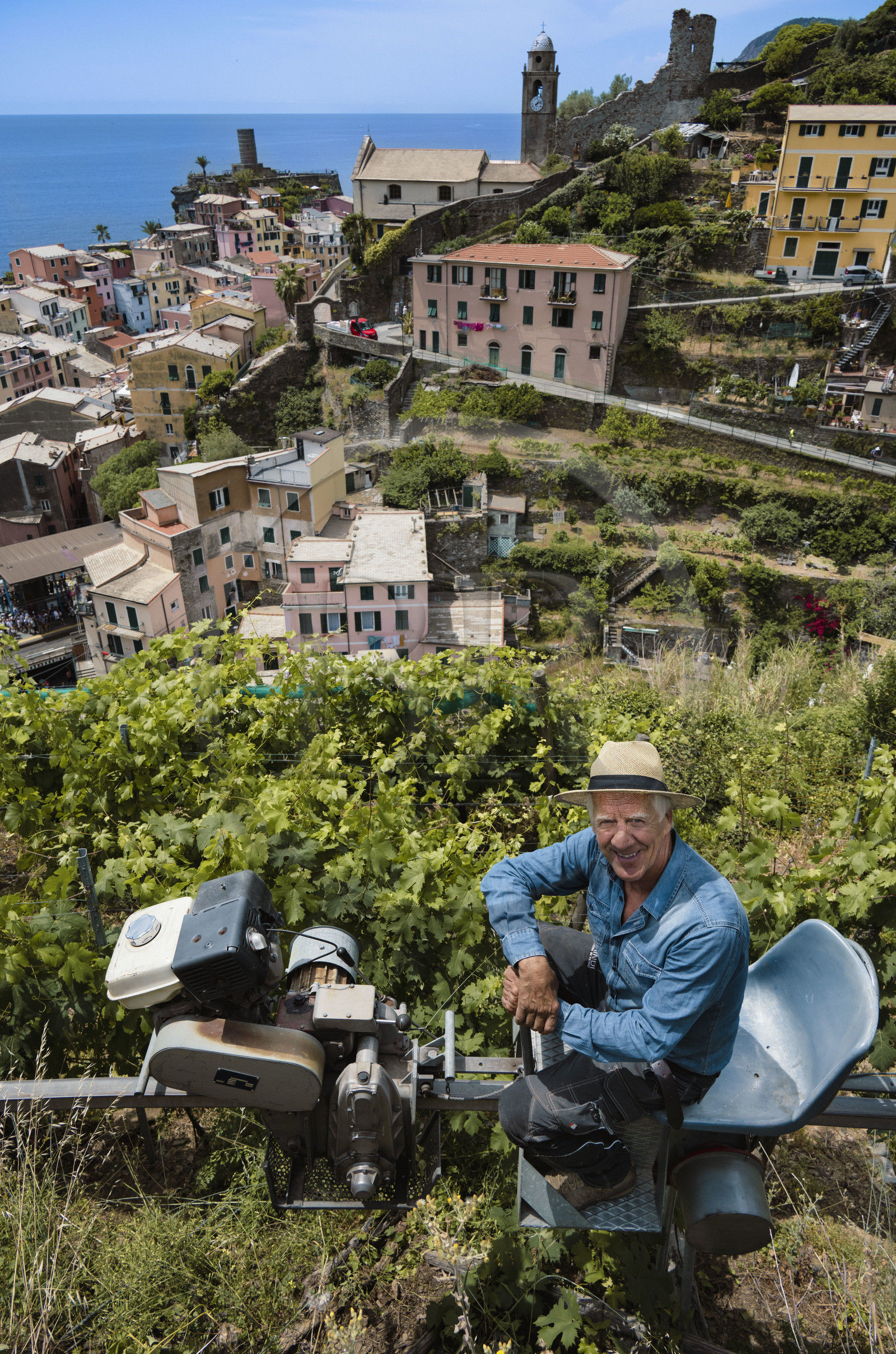 Italie, Ligurie, Cinque Terre, parc national des Cinque Terre classé Patrimoine Mondial de l'UNESCO, village de Vernazza, Bartolomeo Lercari propriétaire exploitant des vins AOC Liguria di Levante Cheo sur son monorail à crémaillère destiné aux vendanges sur ces terres extrêmement pentues