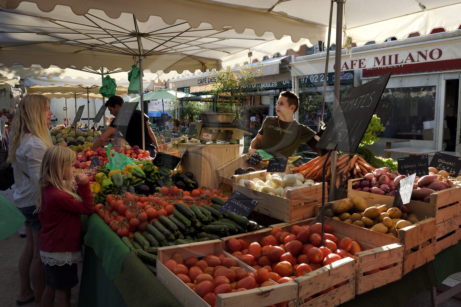 France, Var (83), Saint-Tropez, place des Lices, étal de primeur, chaque mardi et samedi matin ce marché propose des produits du terroir