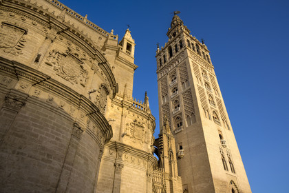 Espagne, Andalousie, Séville, quartier de Santa Cruz, la Giralda, ancien minaret almohade de la Grande Mosquée reconverti en clocher de la cathédrale, classé Patrimoine Mondial de l'UNESCO