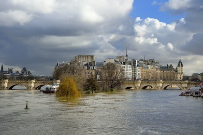 France, Paris (75), les rives de la Seine, classées Patrimoine Mondial de l'UNESCO, le Pont Neuf et l'Ile de la Cité