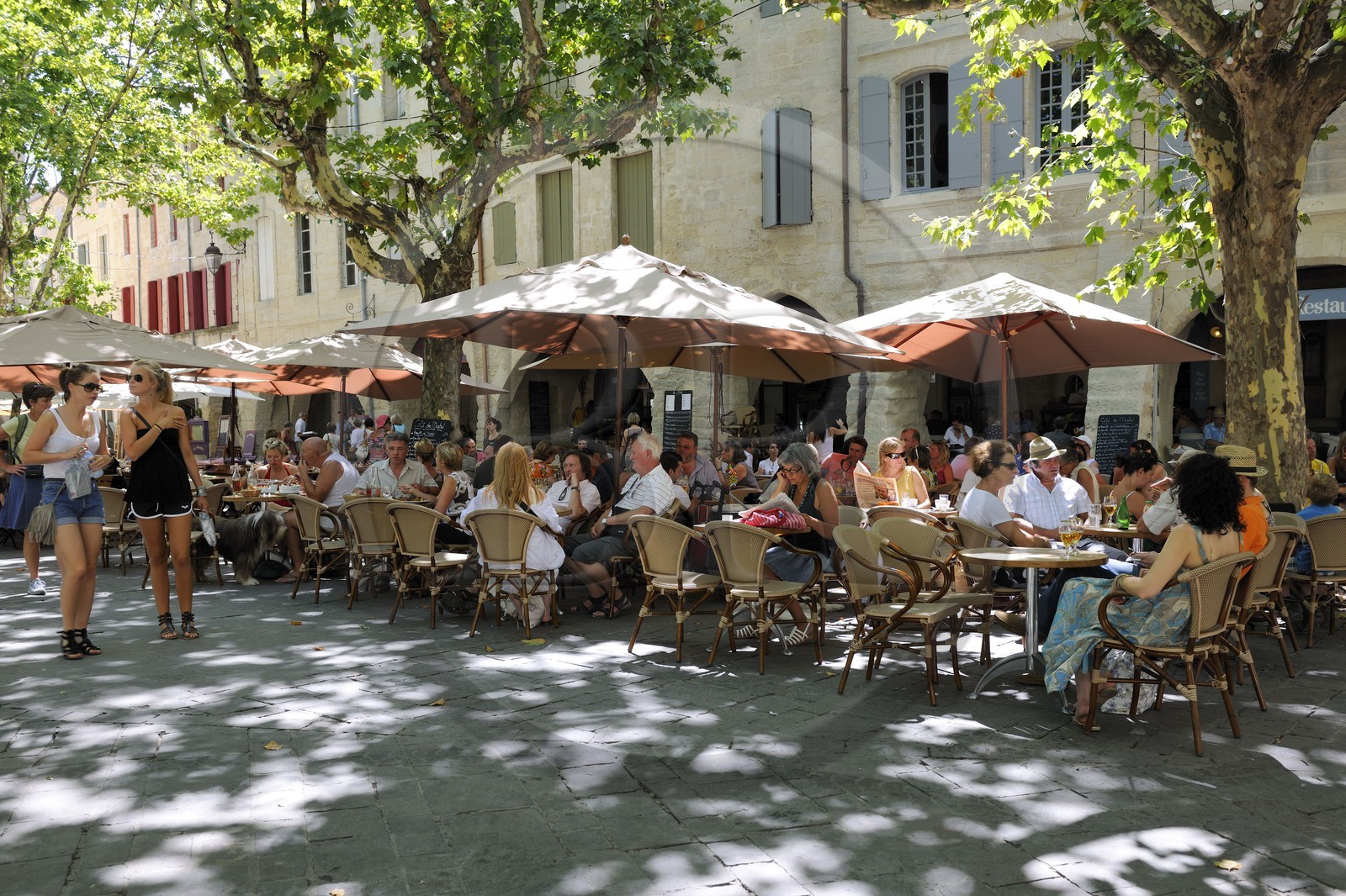 France, Gard (30), Uzès, classée ville d'art et d'histoire, la Place aux Herbes entourée de maisons à arcades et ses terrasses de café
