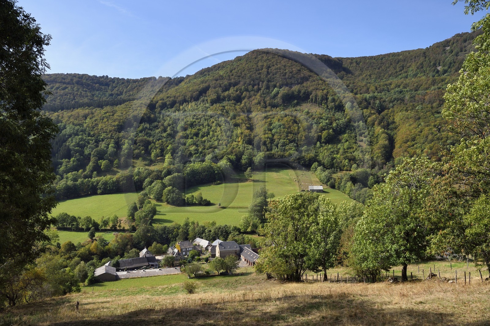 France, Cantal (15), Parc Naturel Régional des Volcans d’Auvergne, vallée de Brezons, le hameau du Bourguet