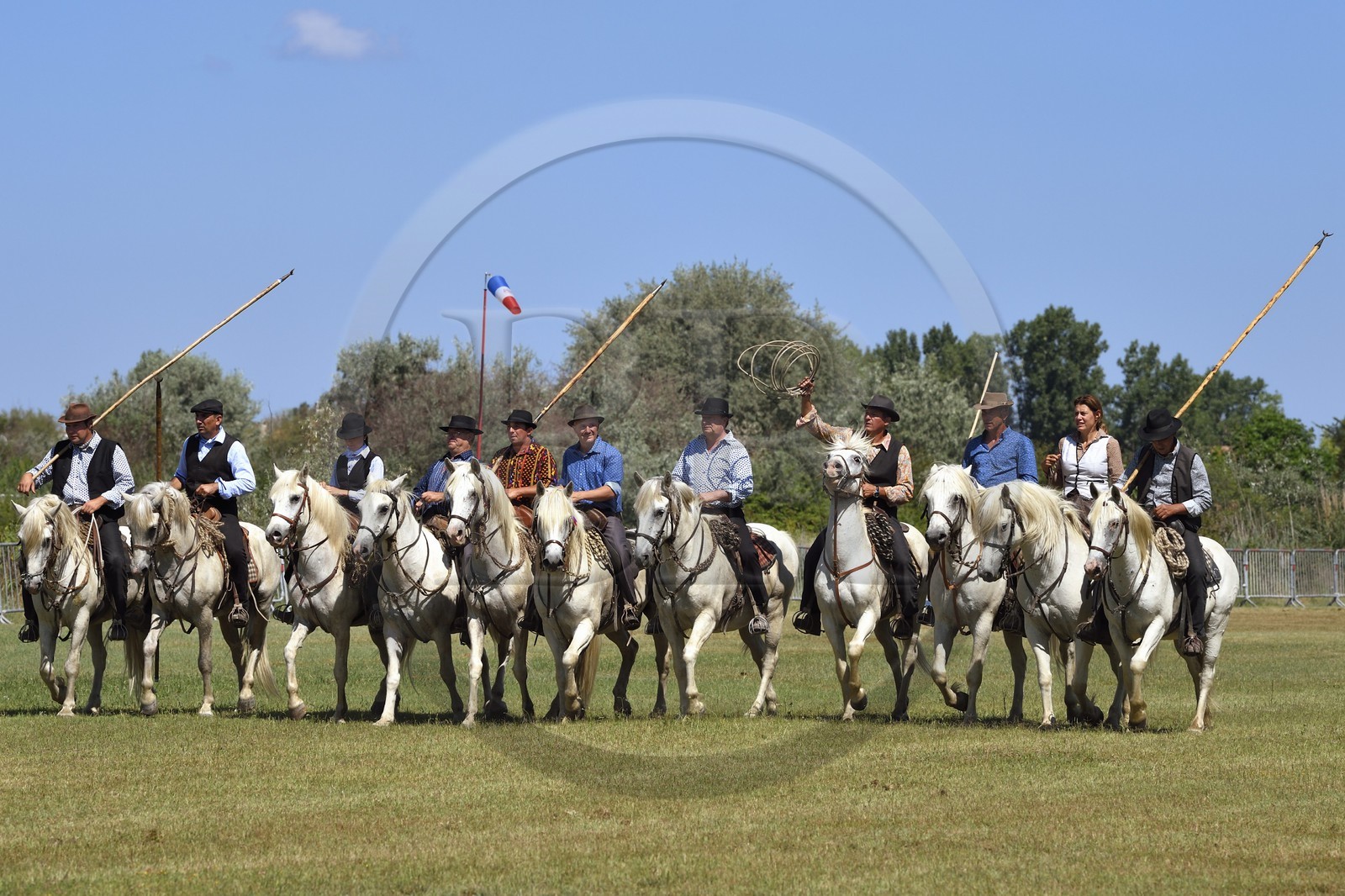 France, Bouches-du-Rhône (13), Parc naturel régional de Camargue, La Régie de Frigoulès, gardians à cheval lors d'une ferrade