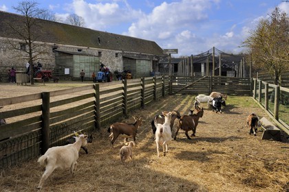 France, Yvelines (78), Saint-Cyr-l'Ecole, la ferme de Gally sur le Domaine de Versailles