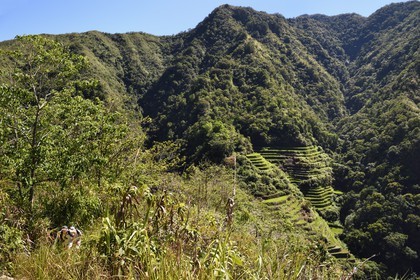 Philippines, province d'Ifugao, randonnée sur le sentier reliant les villages de Cambulo et Batad dans les montagnes de Banaue, en arrière plan les rizières en terrasses, classées Patrimoine Mondial de l'UNESCO